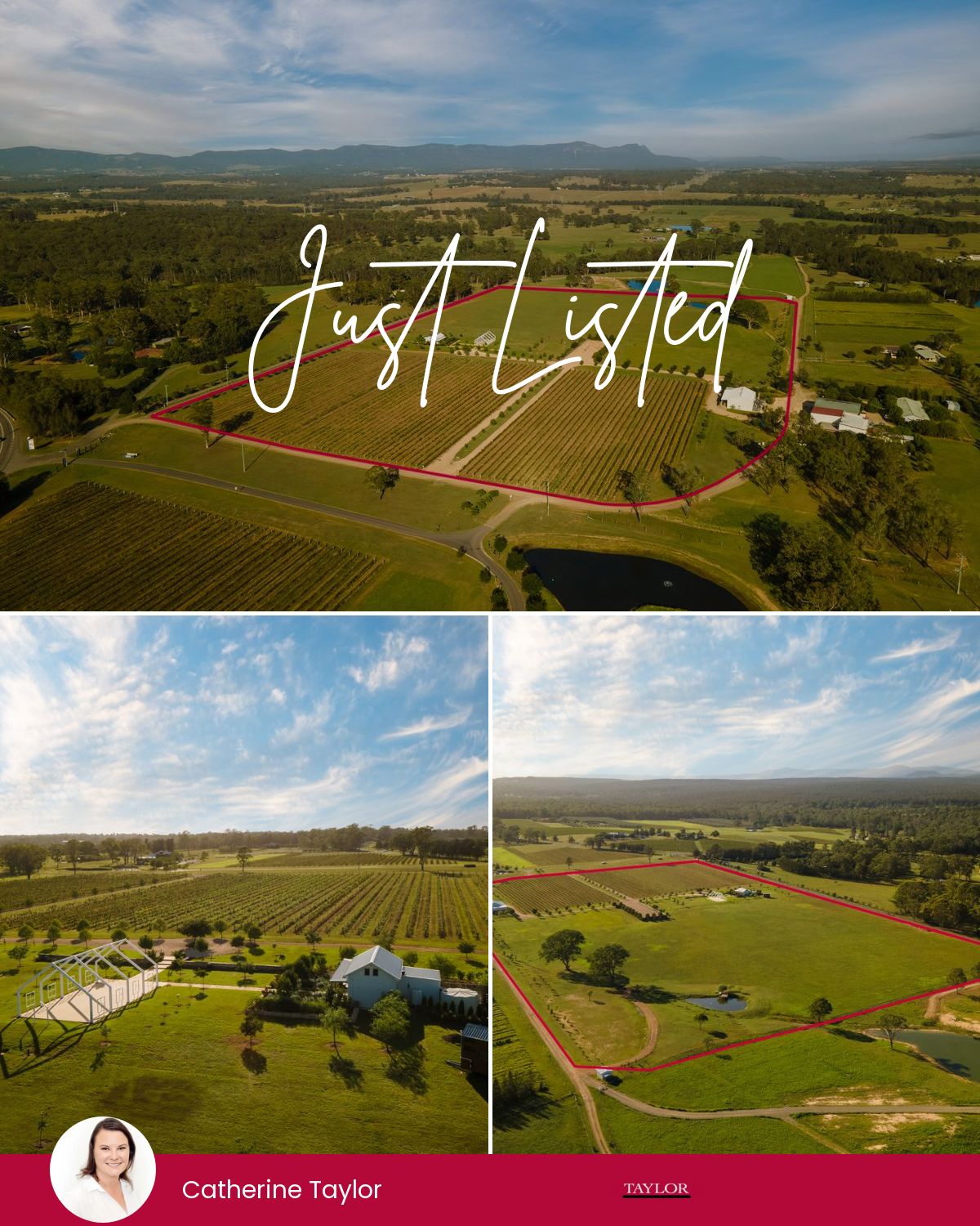 469 Lovedale Rd, Lovedale, NSW 2325 | Realty.com.au